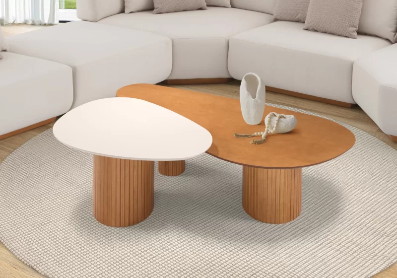 Mesa de Centro Orgânica Aurora – Design Natural com Tampo Assimétrico